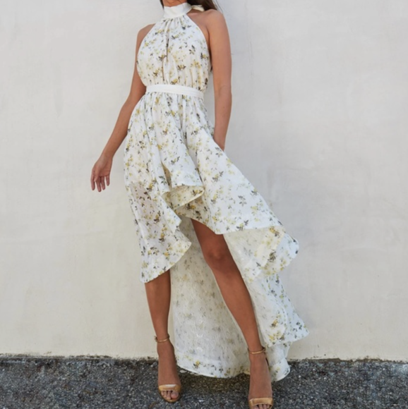 V. Chapman Dresses